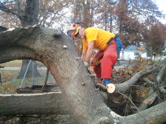 A Disaster Relief volunteer in southern Illinois takes care of a felled tree in southern Illinois.
