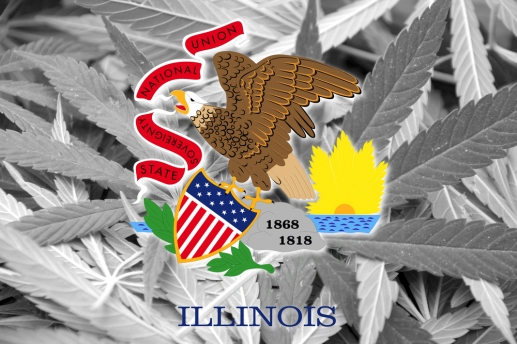 Flag of Illinois State, on cannabis background