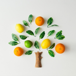 Tree made of citrus fruits, oranges, lemons, lime and green leav